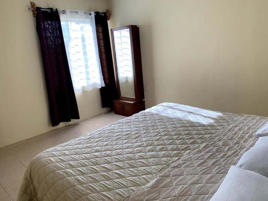 Ideal Apartment To Rest Near The Airport Oaxaca Exterior photo